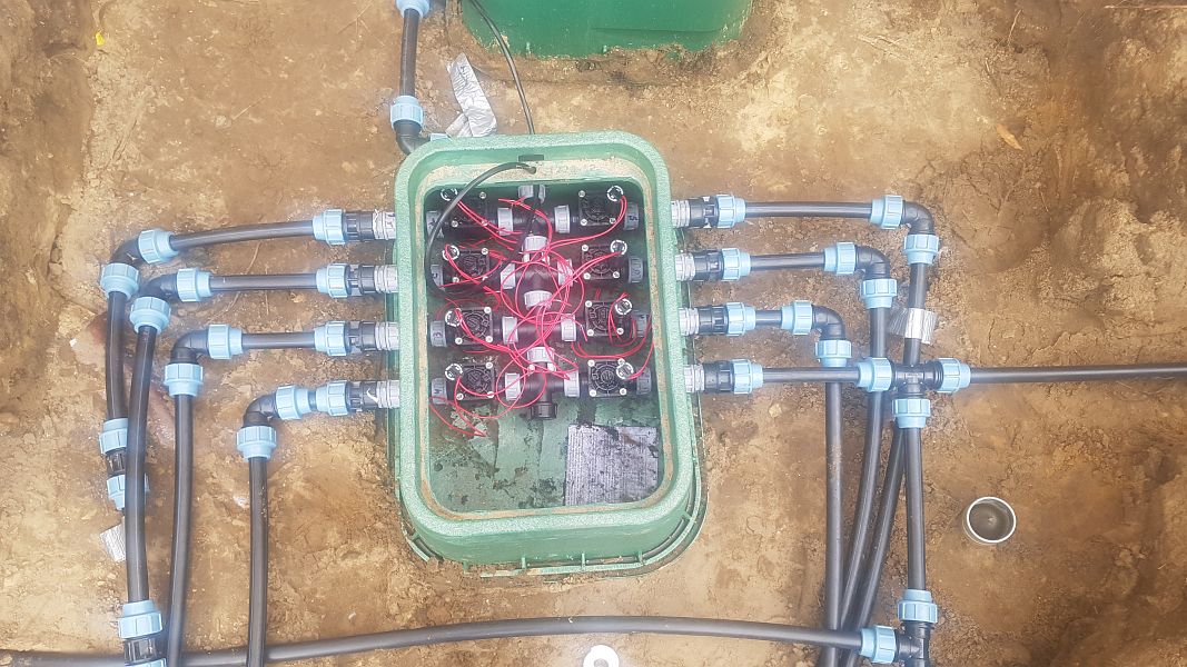 lorem ipsum dolor sit