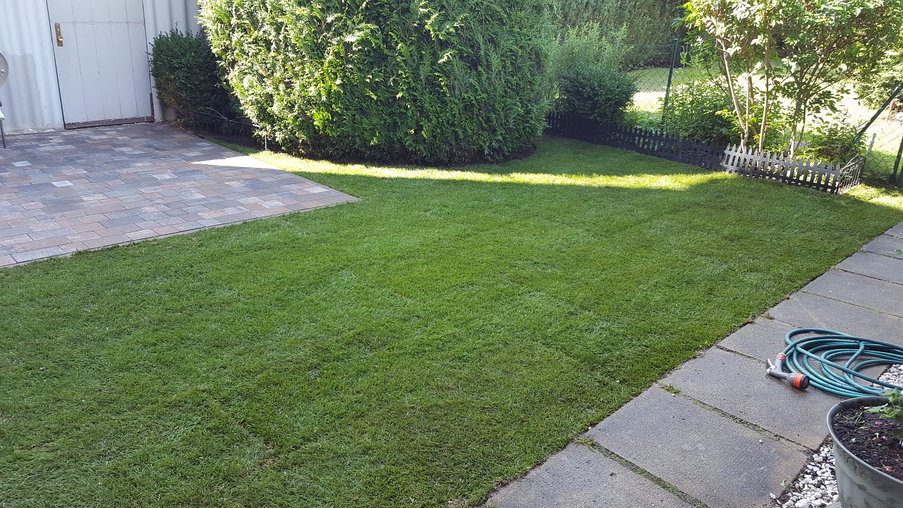 lorem ipsum dolor sit