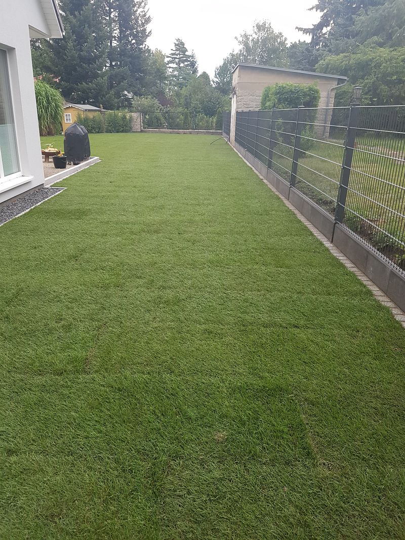 lorem ipsum dolor sit