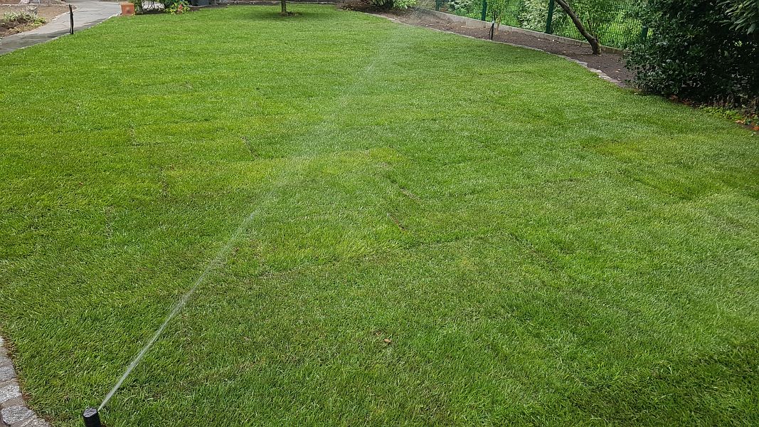 lorem ipsum dolor sit