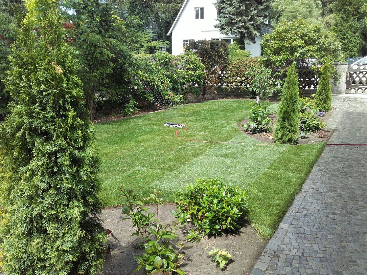 lorem ipsum dolor sit