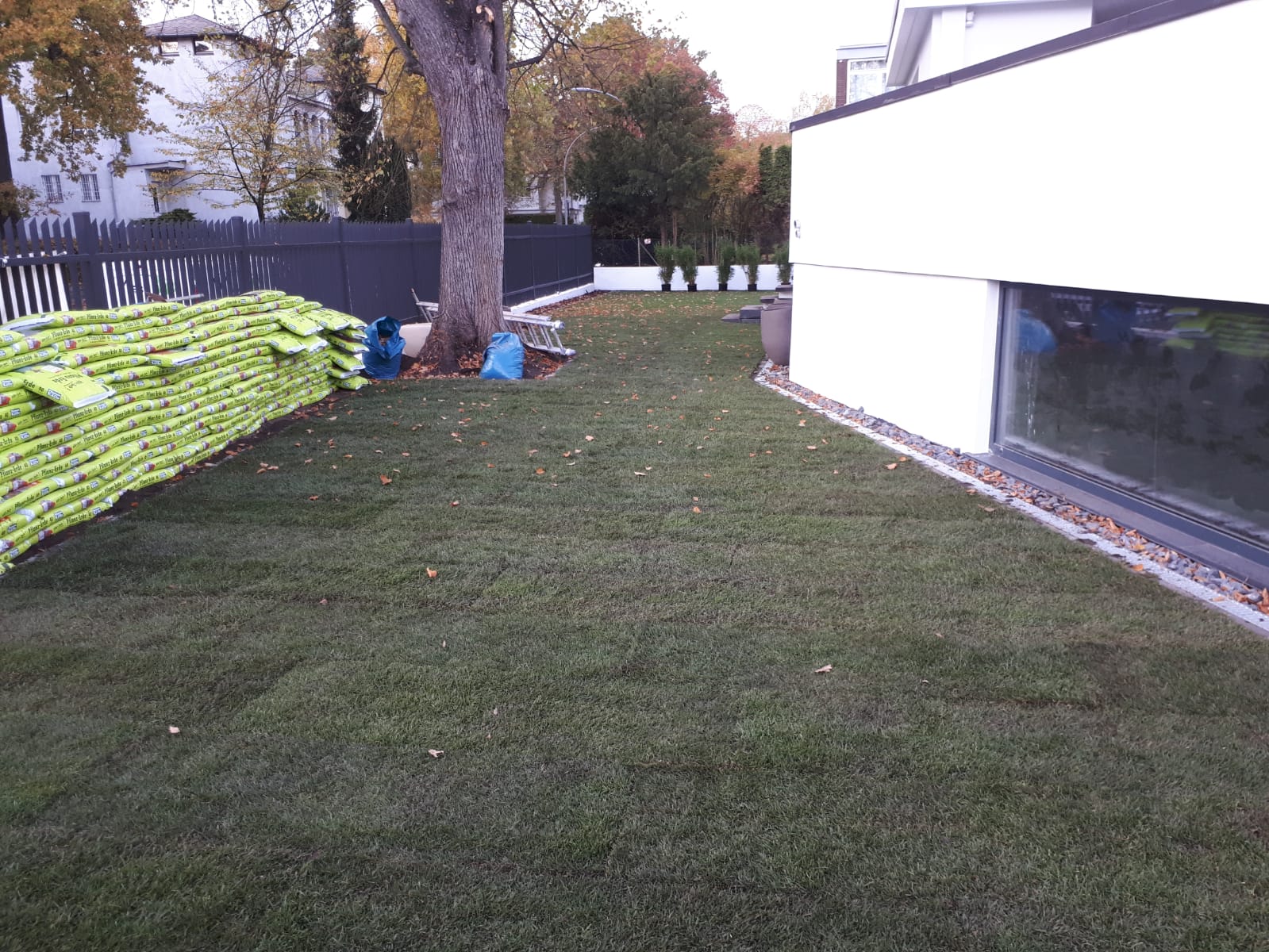 lorem ipsum dolor sit